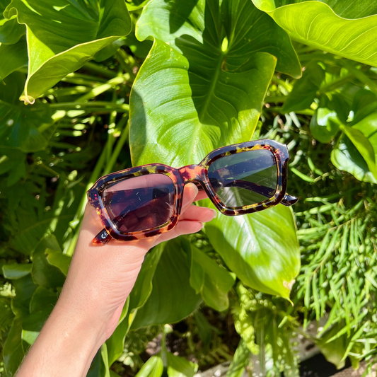 Lunettes Calima