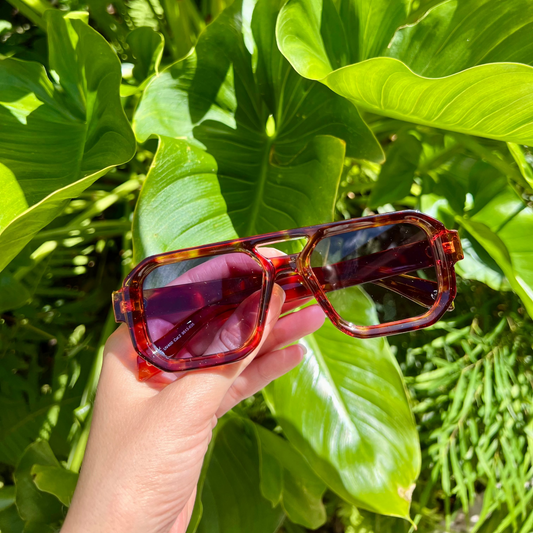 Lunettes Zénith