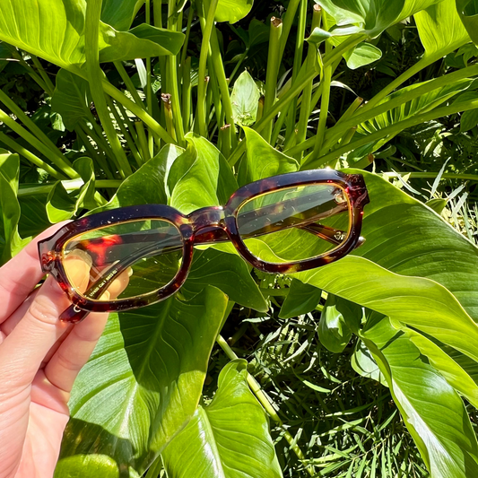 Lunettes Halo