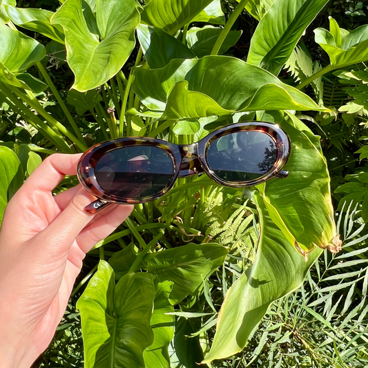 Lunettes Noor