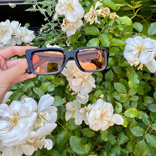Lunettes Solaris