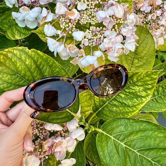 Lunettes Auréa
