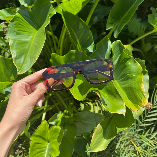 Lunettes Rayah